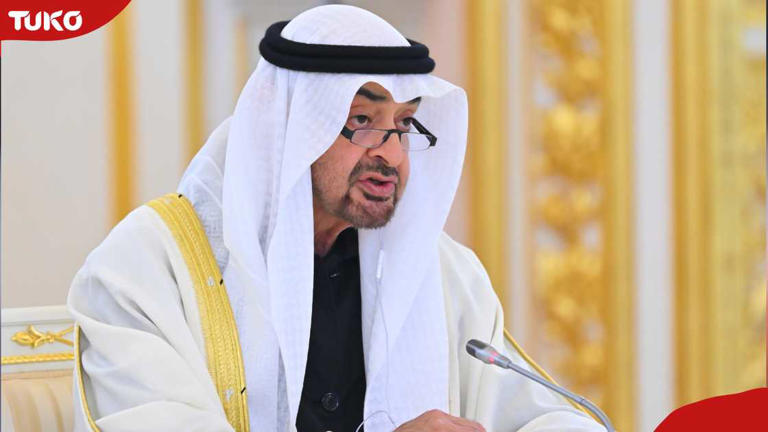 Sheikh Mohamed bin Zayed Al Nahyan, the current President of the United Arab Emirates and Ruler of Abu Dhabi. Photo: Sefa Karacan/Anadolu via Getty Images Source: Getty Images