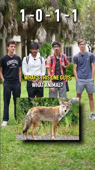 College guys test their knowledge! | Geography, animals, math & more!