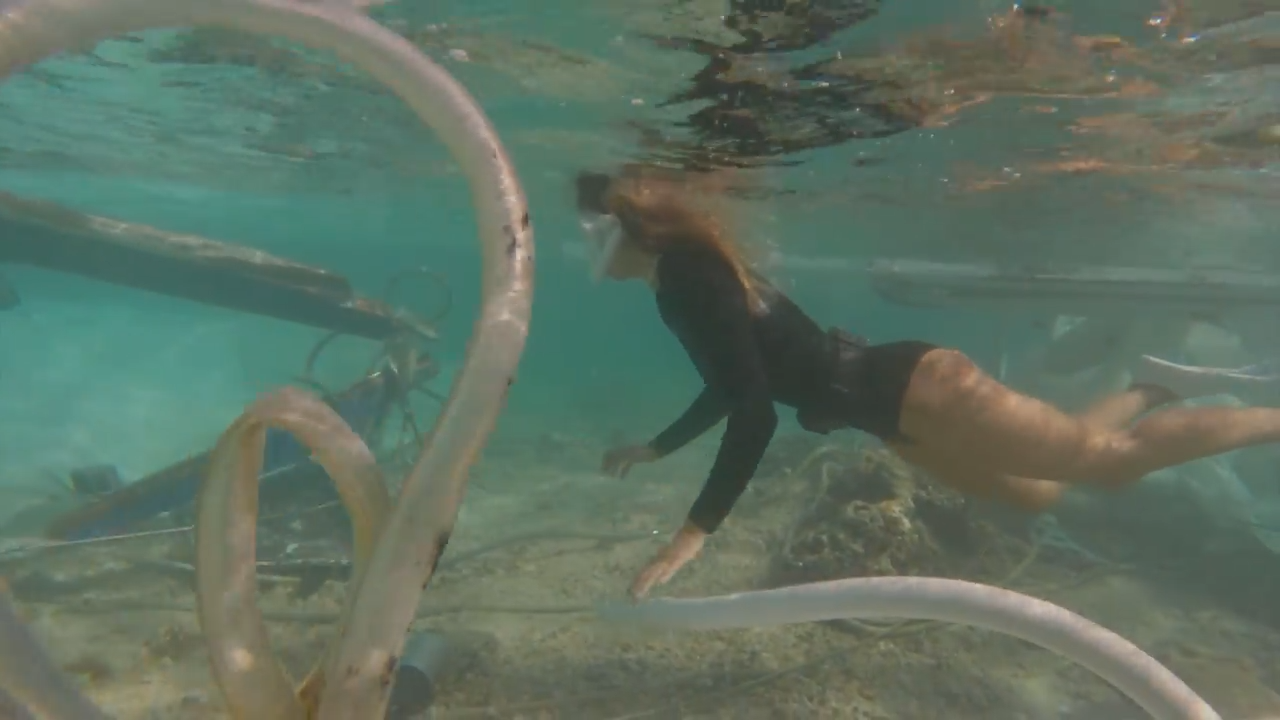 3 divers. One shipwreck. One massive cleanup.
