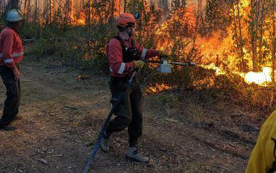 NWT research site key to collecting critical wildfire data