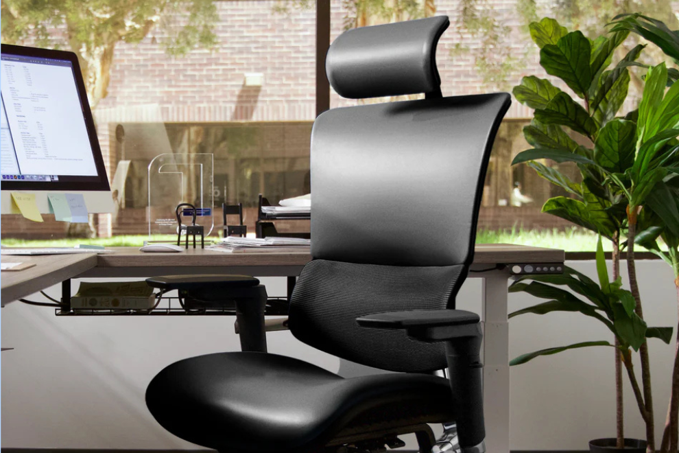 Can a $1,845 office chair actually help with back pain?