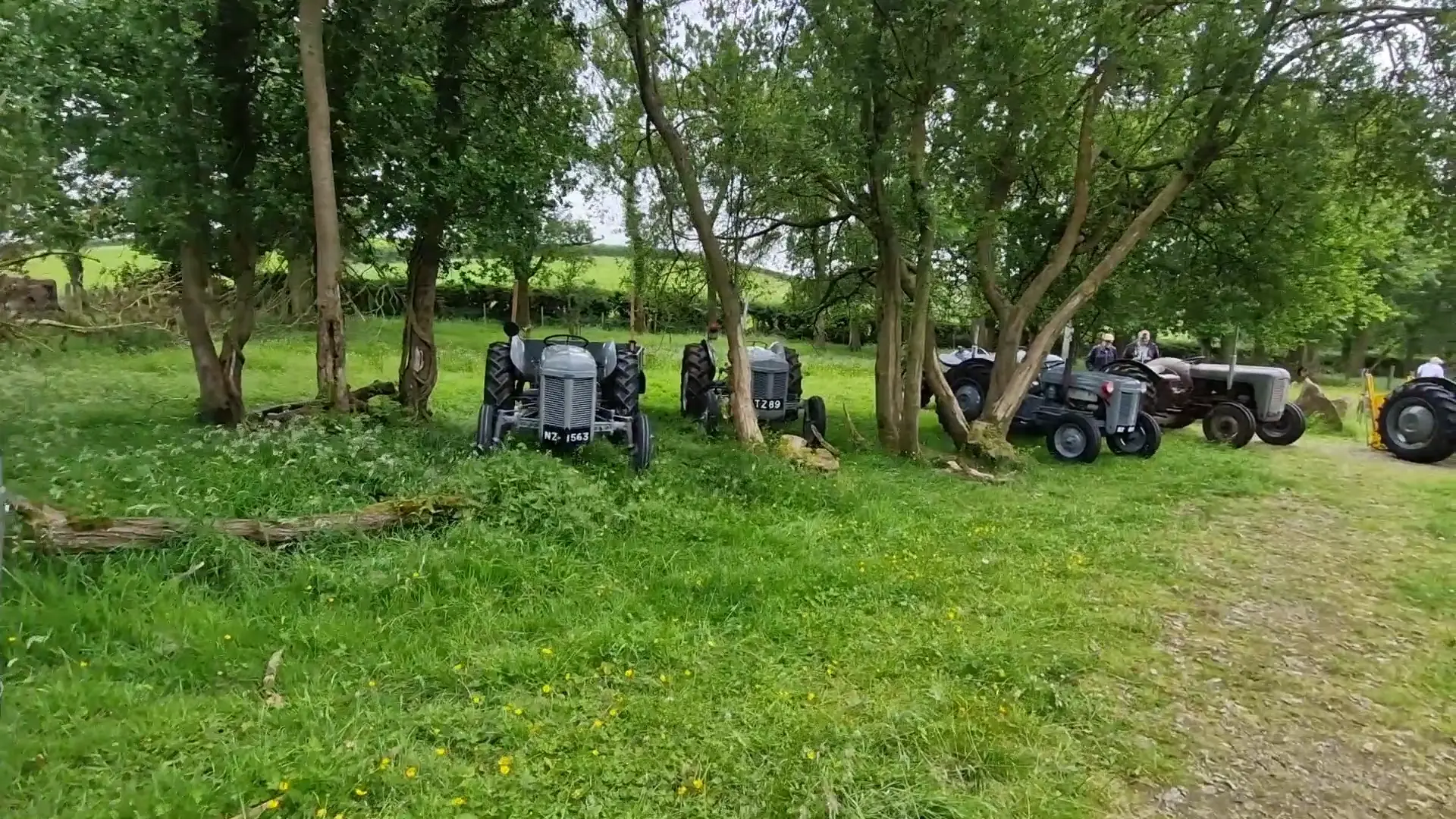 Looking around the tractors at the working field at the Ferguson Day