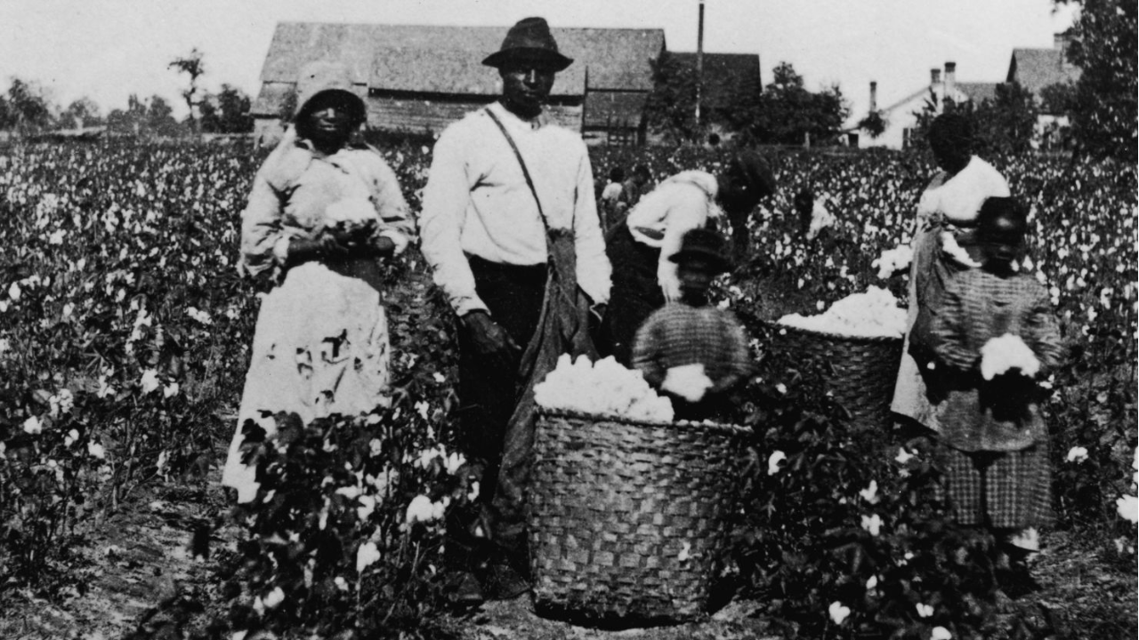 Historian reveals how white supremacy was deliberately invented to ...