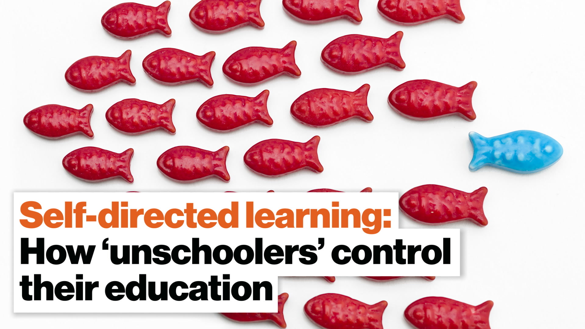 Self-directed learning: How 'unschoolers' control their education