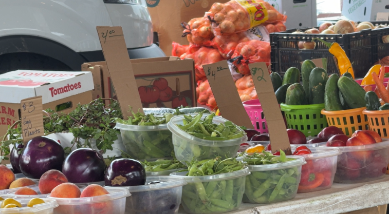 Grower, doctor says local vegetables offer safer option amid virus outbreaks