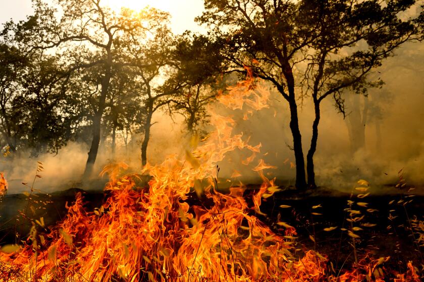 Man arrested in Gann fire says he was was trying to make money for a birthday dinner