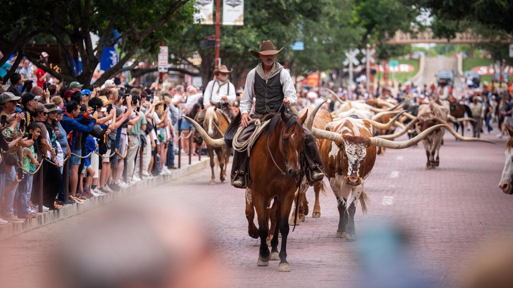 Stockyards developer halts $1 billion Phase II expansion in Fort Worth