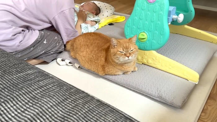 赤ちゃんを寝かしつけていると、猫がずっとそばにいてくれて…ほっこりする光景が15万再生「優しくて素敵なお兄ちゃん」「可愛くて癒された」
