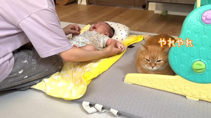 赤ちゃんを寝かしつけていると、猫がずっとそばにいてくれて…ほっこりする光景が15万再生「優しくて素敵なお兄ちゃん」「可愛くて癒された」