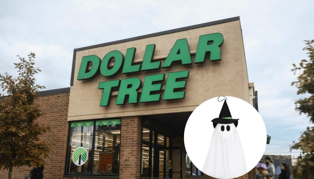 Pottery Barn looks for $1.50? Dollar Tree is winning Halloween!