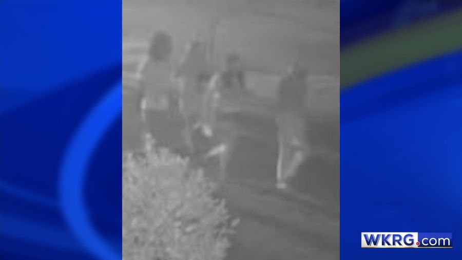 Semmes police investigating alleged criminal mischief at community center