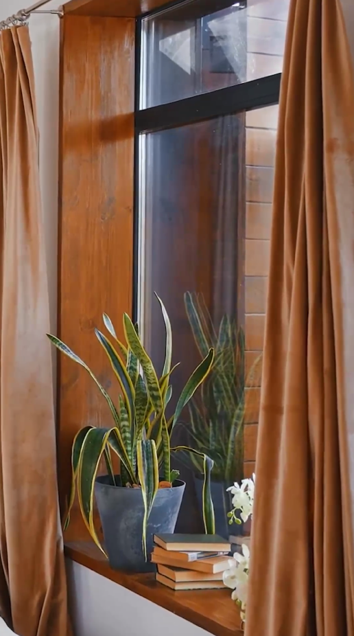Easy care succulents that add style to your home
