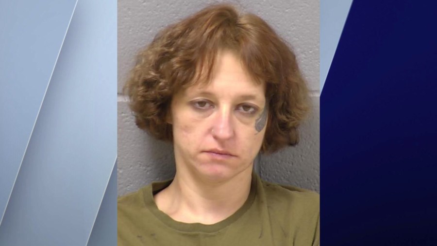 Woman sentenced in hit-and-run death of Plainfield couple