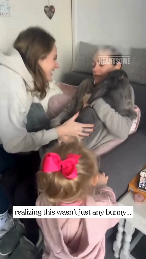 Rabbit lover receives the surprise of a lifetime
