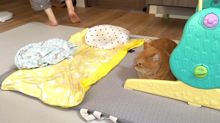 赤ちゃんを寝かしつけていると、猫がずっとそばにいてくれて…ほっこりする光景が15万再生「優しくて素敵なお兄ちゃん」「可愛くて癒された」