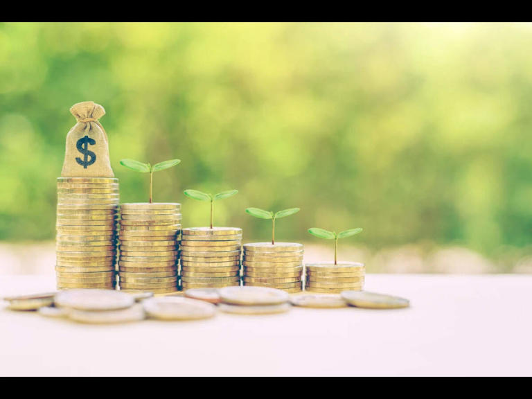 Best small cap mutual funds to invest in August 2026