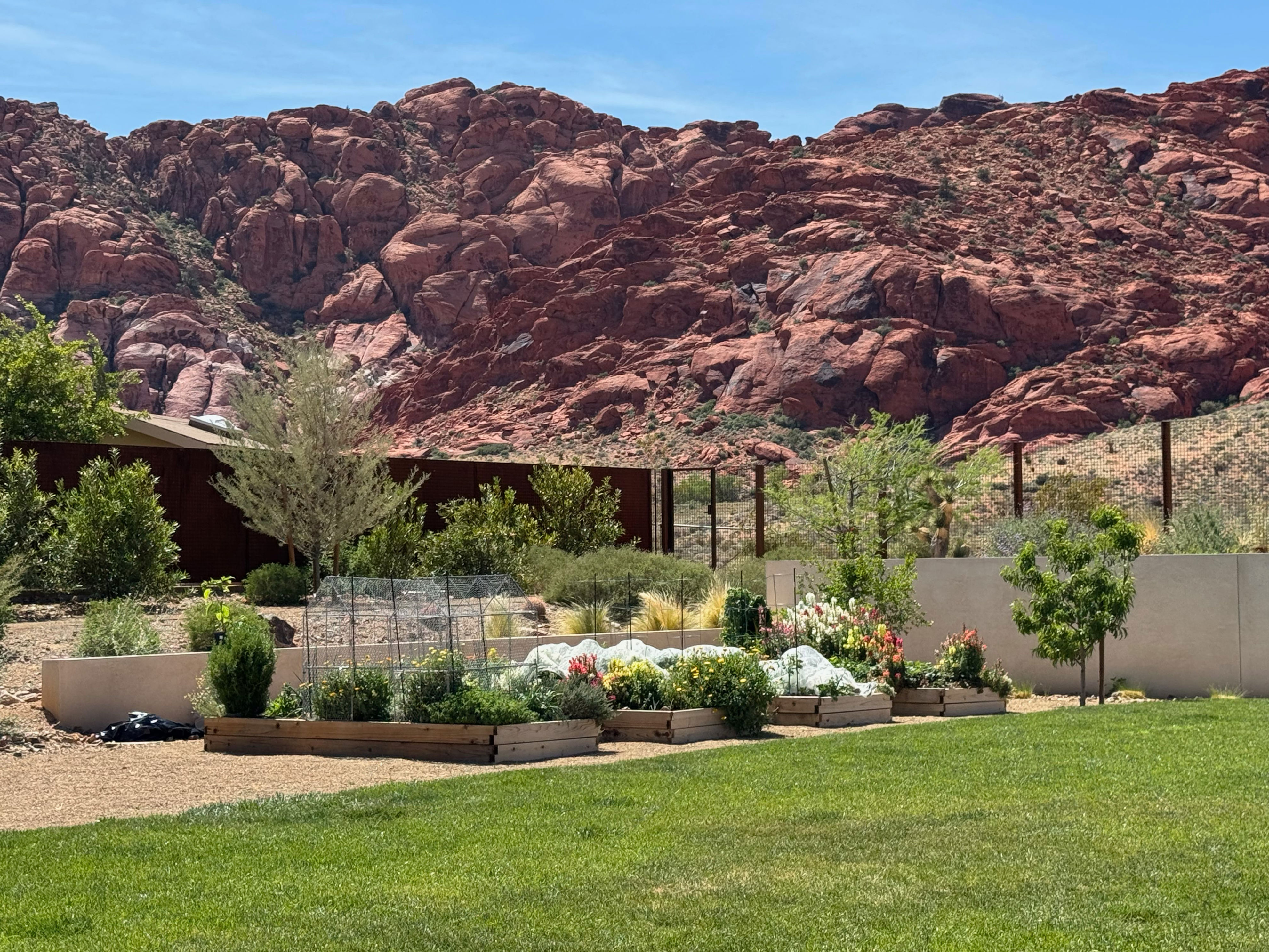 Las Vegas group teaches residents to grow their own food amid food safety concerns