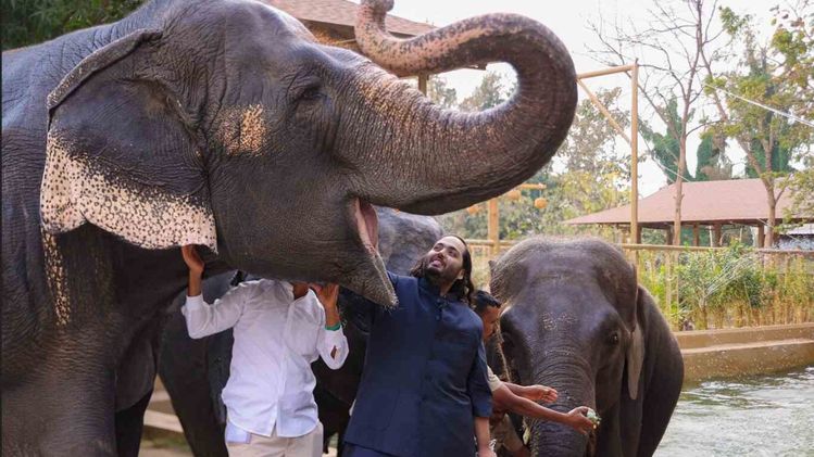 Assam floods: Himanta thanks Vantara Foundation, Anant Ambani for aiding wildlife rescue