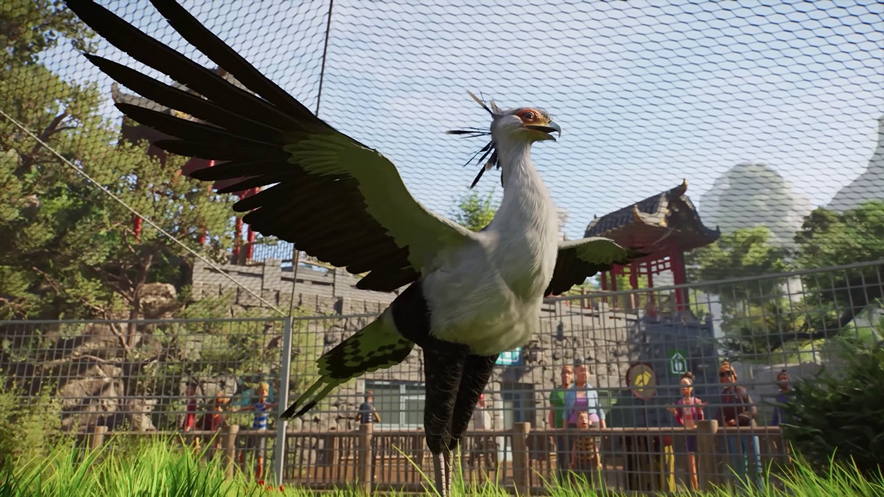 Planet Zoo 2 - Official feature focus: Frequent flyers trailer