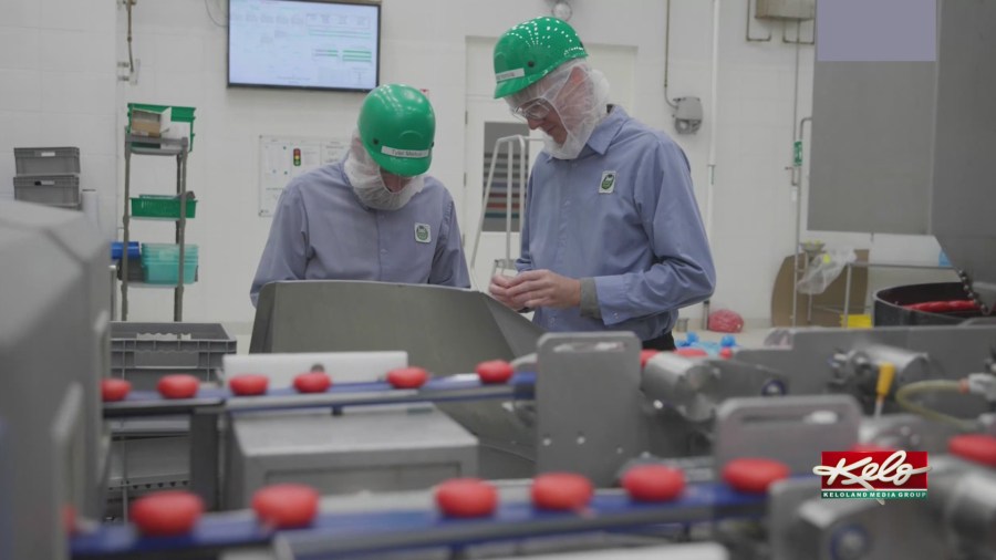 Babybel cheese production expanding in Brookings