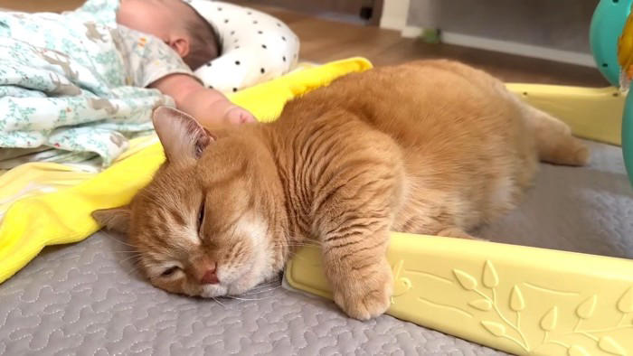 赤ちゃんを寝かしつけていると、猫がずっとそばにいてくれて…ほっこりする光景が15万再生「優しくて素敵なお兄ちゃん」「可愛くて癒された」