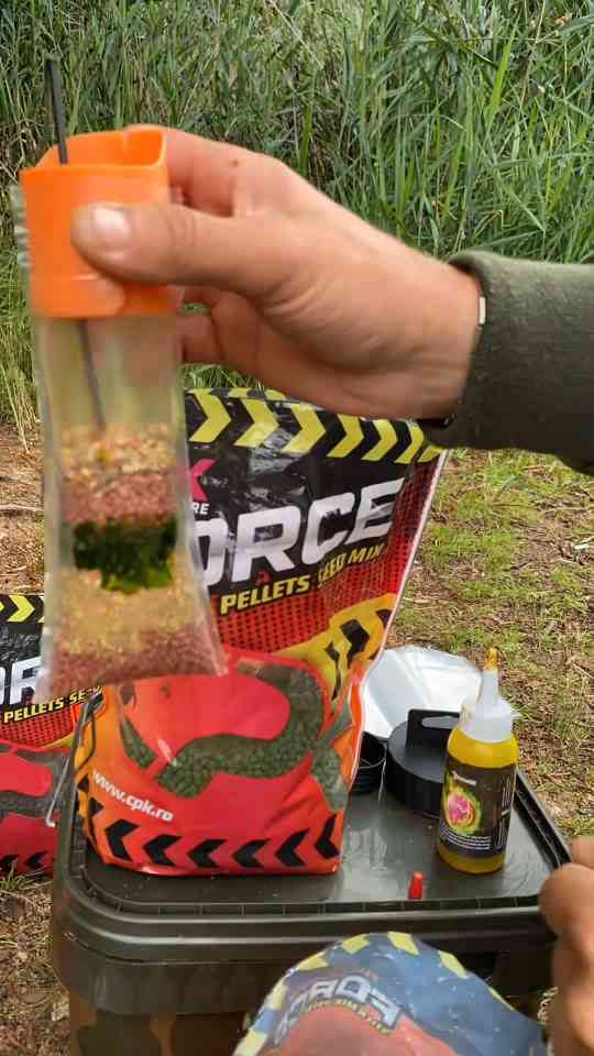Smart carp fishing strategies for different water conditions