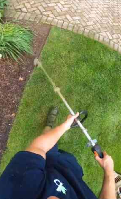 The ultimate lawn care routine for every season