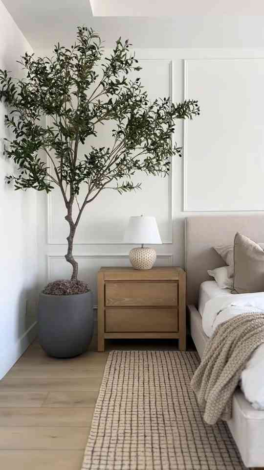 Realistic 8 foot olive tree home decor idea