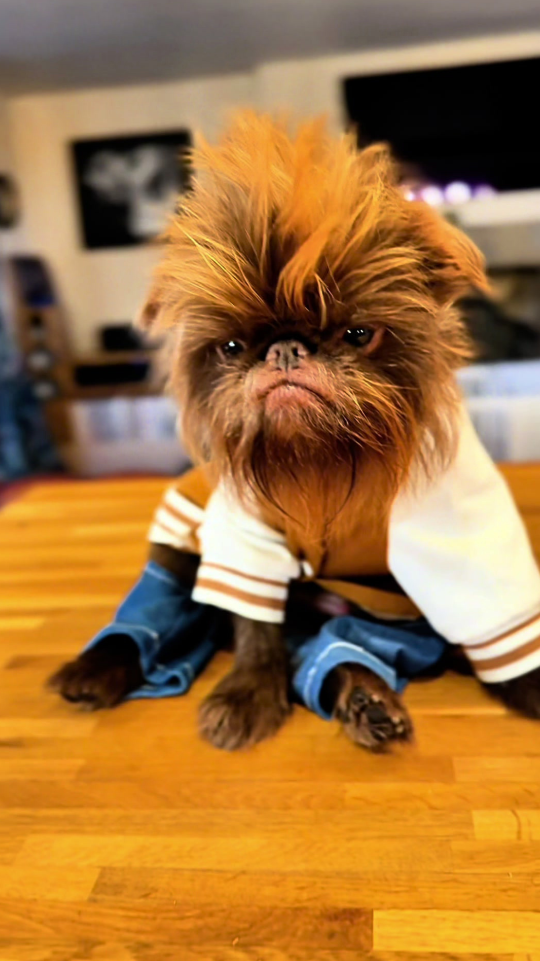 When you look this good, no smile needed