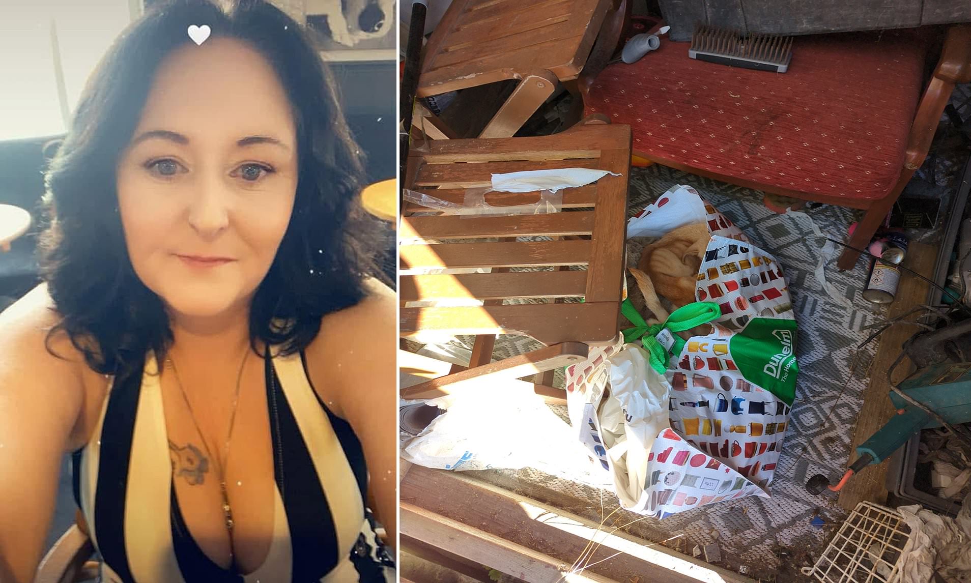Mother-of-two banned from keeping animals for life after leaving six chihuahuas to starve to death