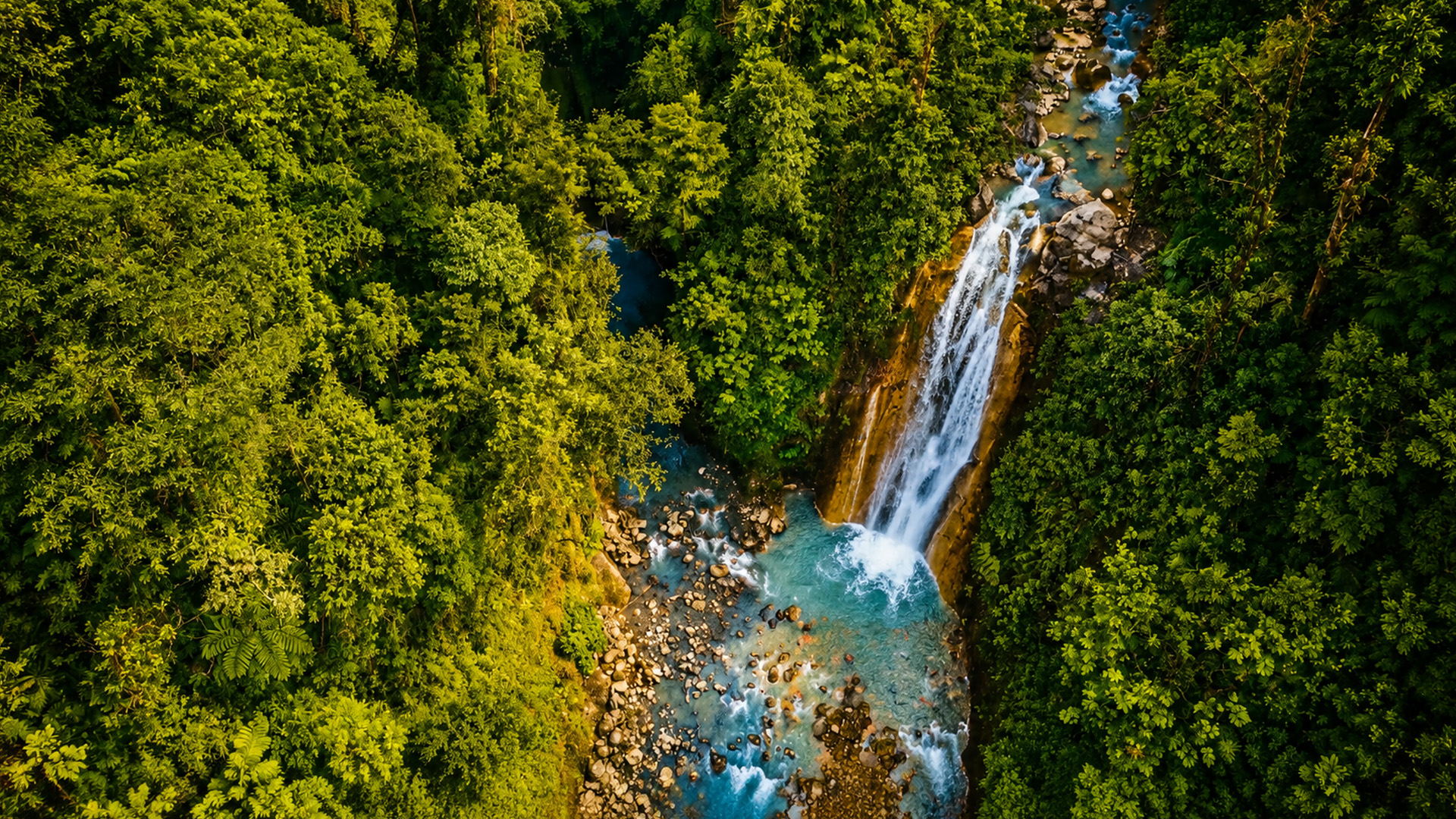 A remote waterfall lost inside Costa Rica’s ancient rainforest