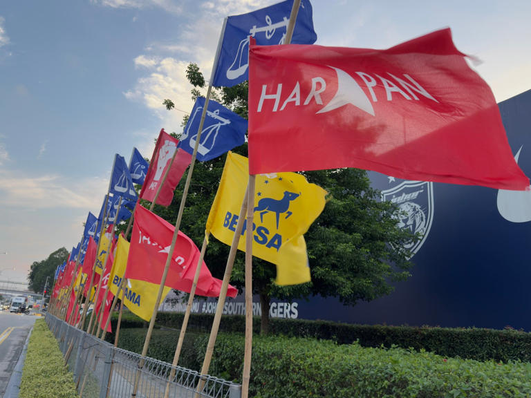 Pakatan Harapan, Barisan Nasional and Bersama flags line a road in Johor Bahru, Malaysia, in July. Photo: Iman Muttaqin Yusof