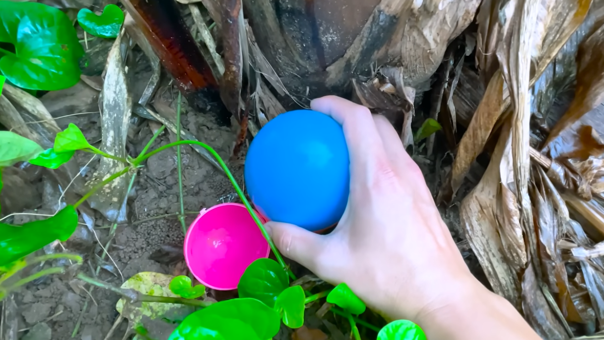 Amazing Catch Colorful Baby Turtles In Eggs After Storm, Feather Fish ...