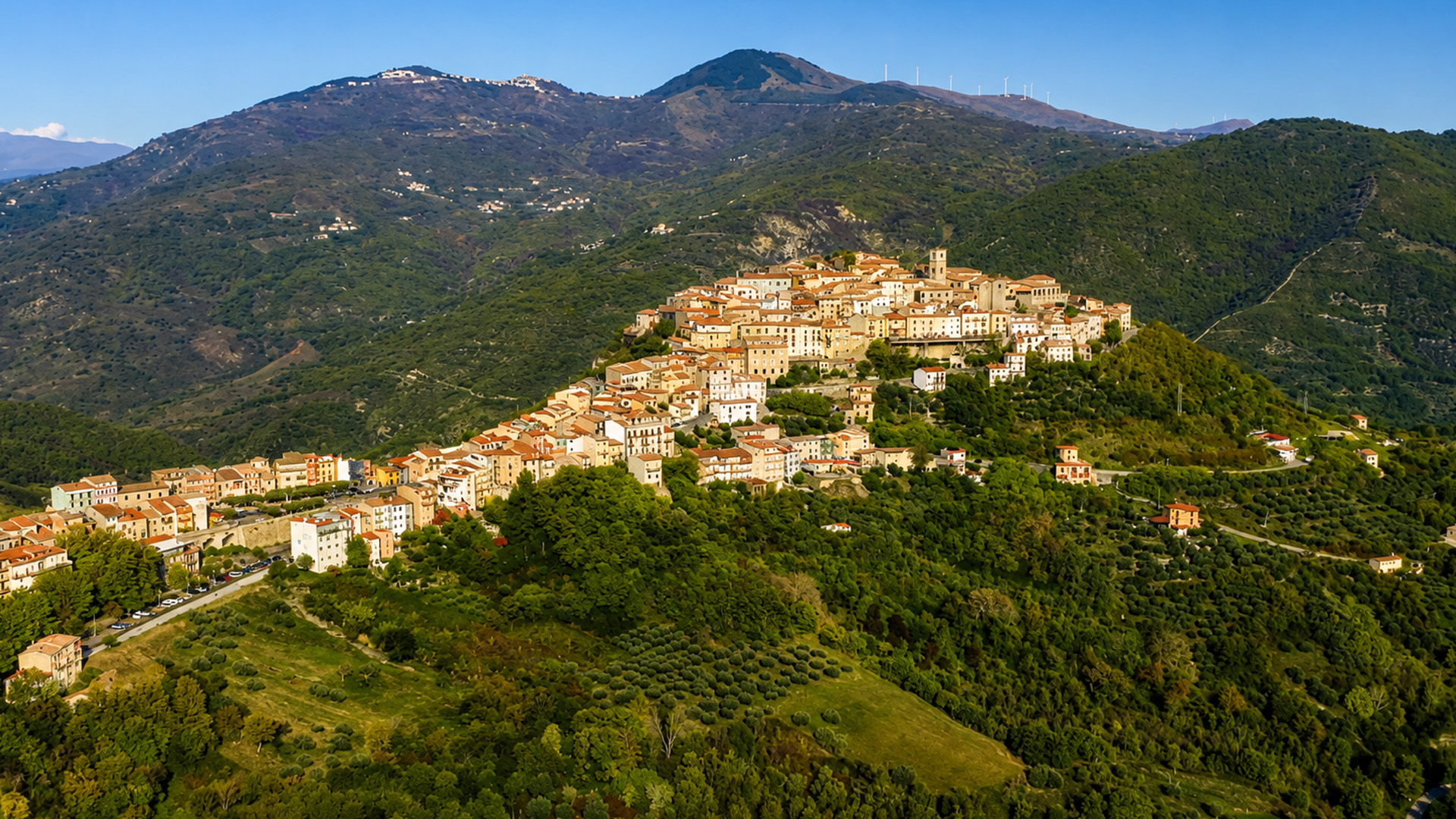 Homes climbing toward the top of the hill
