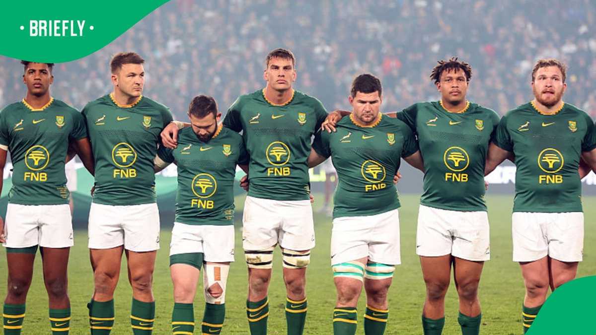 André Esterhuizen questions shut down as Springboks prepare for ...