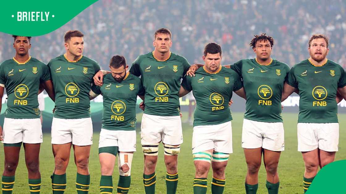 André Esterhuizen questions shut down as Springboks prepare for ...