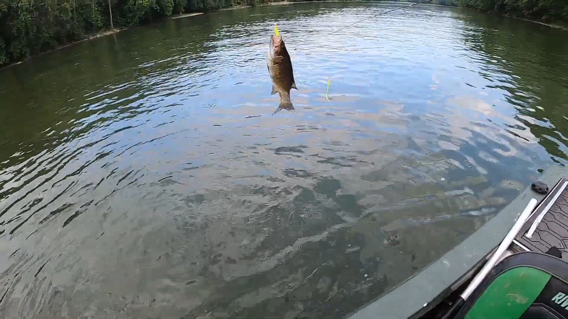 The bass jumps - and a strange little creature shows up with it