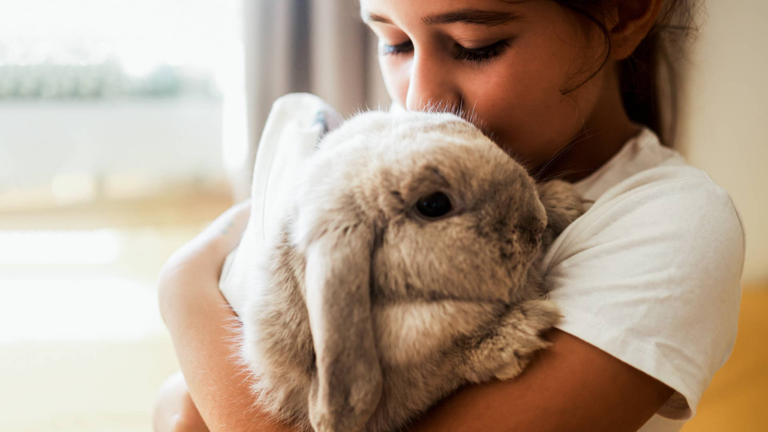 Discover your ideal pet based on your birth date and personality traits