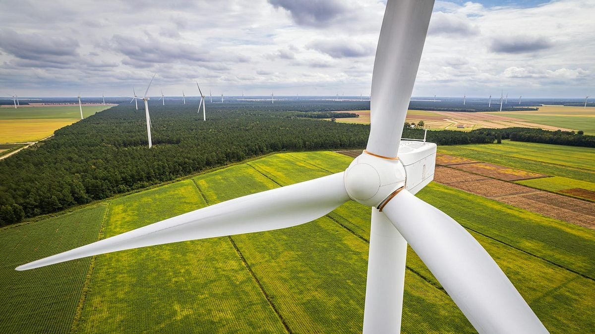 Report: Energy prices higher in blue states due to policies