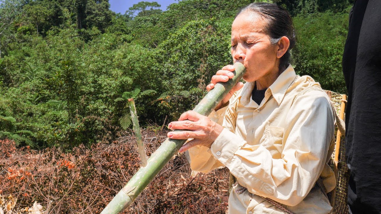 They hiked 3 hours into the Borneo rainforest… just to cook chicken ...