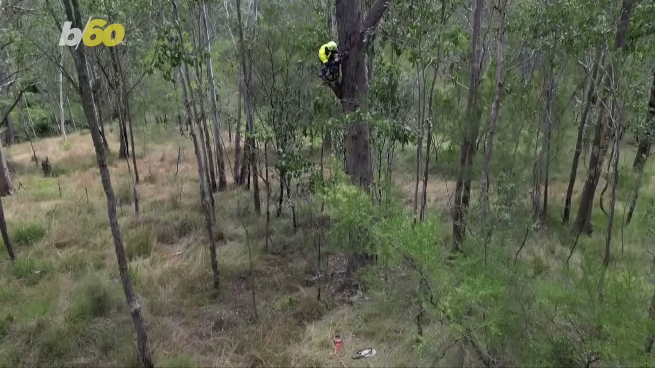 This new invention is giving hope to Australia's endangered wildlife