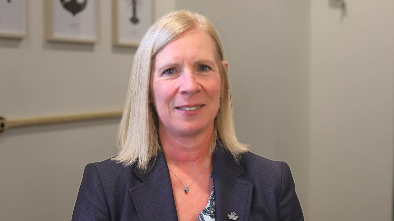 Cannabis NB looks to new strategy as sales fall and illicit market ...