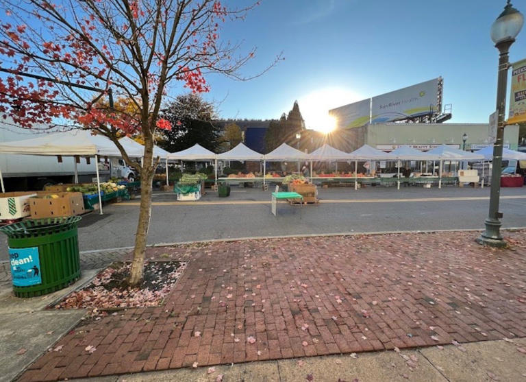 Farmers market vs. grocery store — which one reigns supreme?