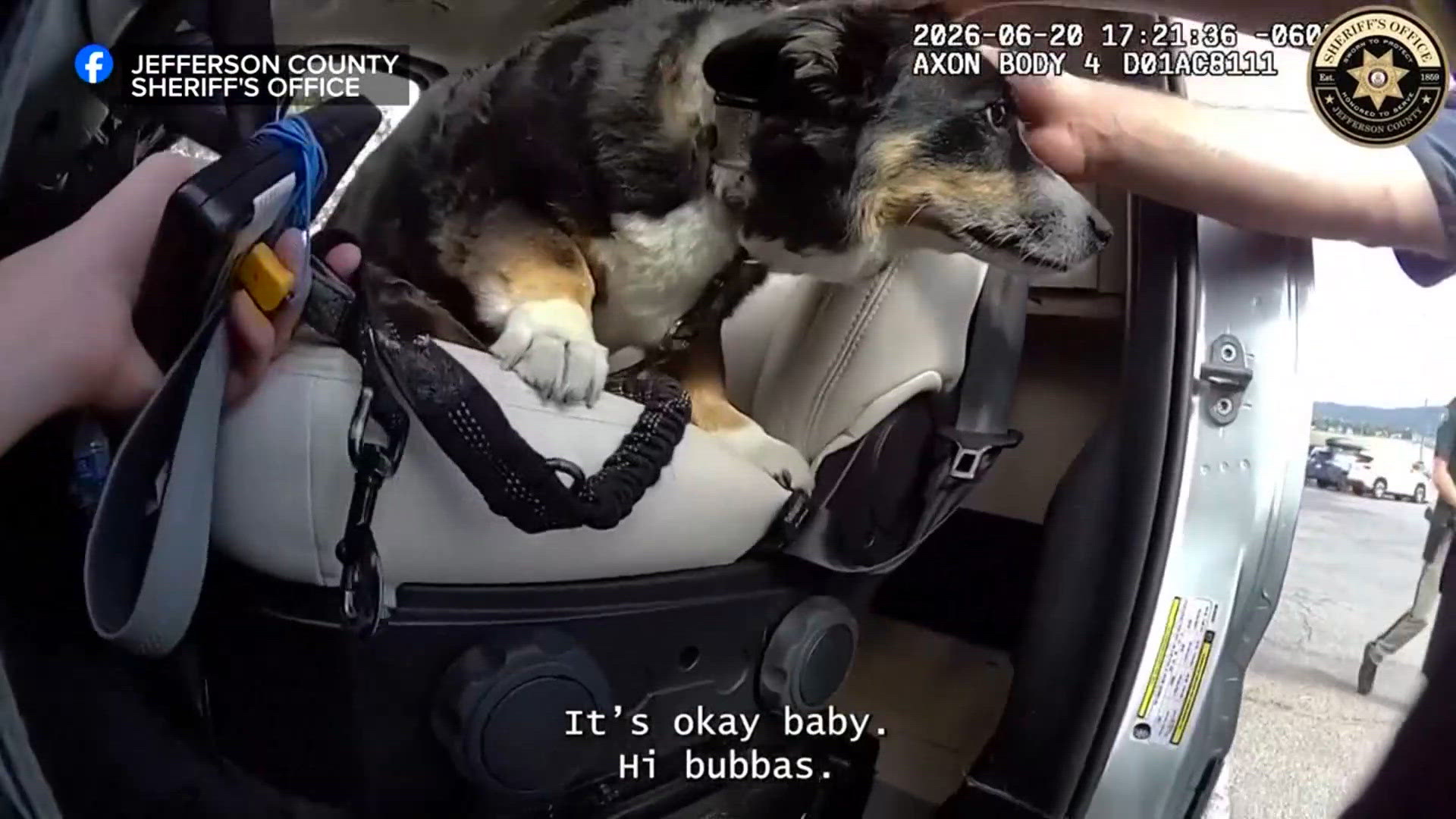 Deputies save a dog left inside a camper van