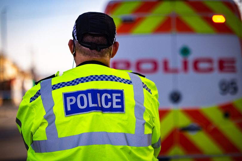 Police appeal after 'confused' woman goes missing in Somerset