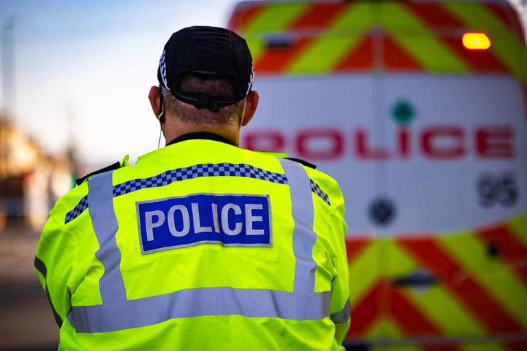 Police appeal after 'confused' woman goes missing in Somerset