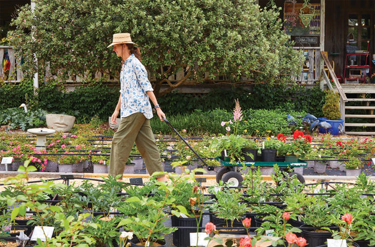 I visited a beloved Alabama nursery and found 5 charming garden ideas ...