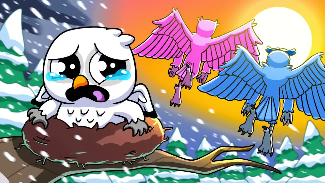 The OWL: Abandoned at birth (cartoon animation)