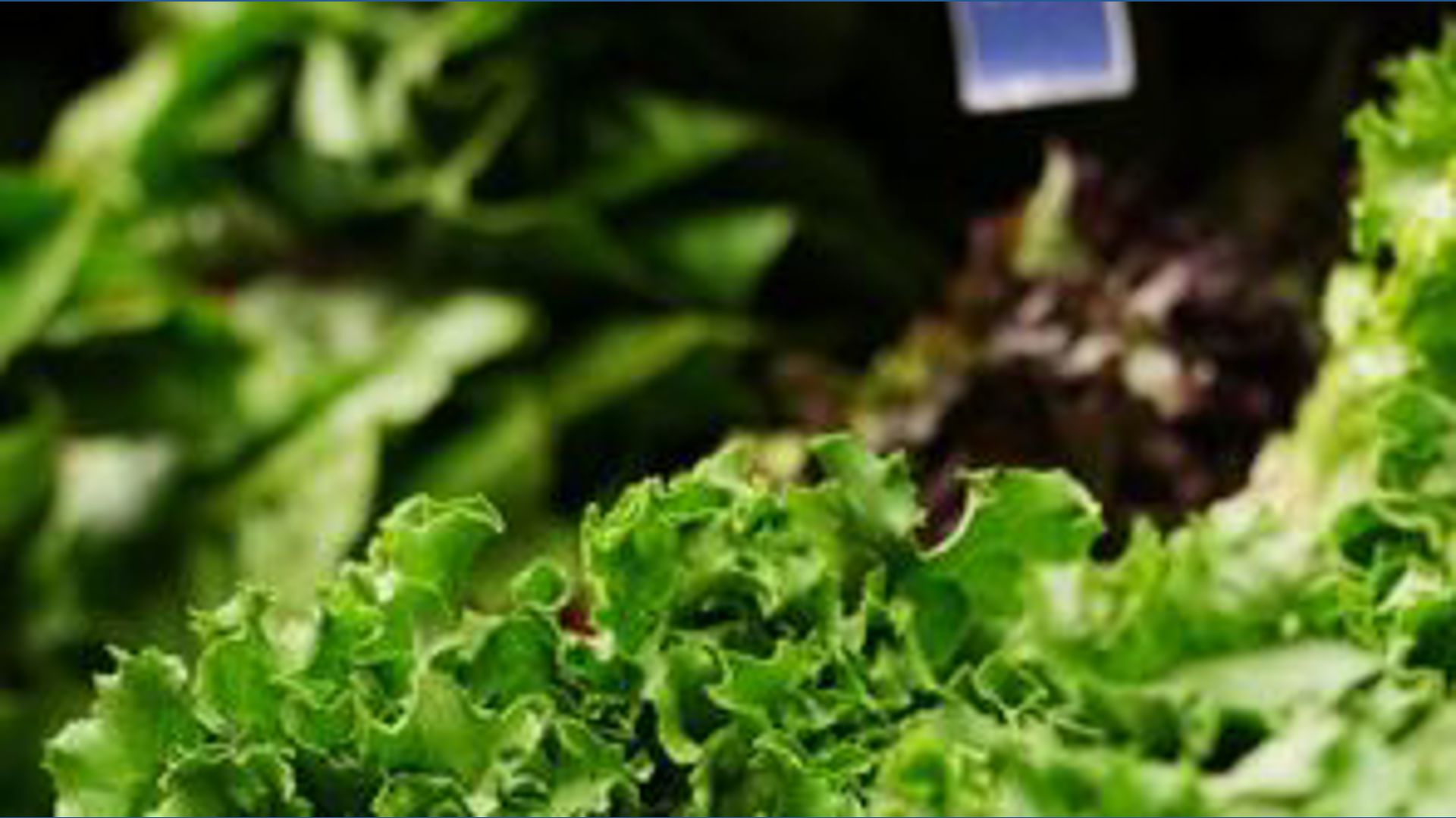 Health experts warn of foodborne illnesses rising