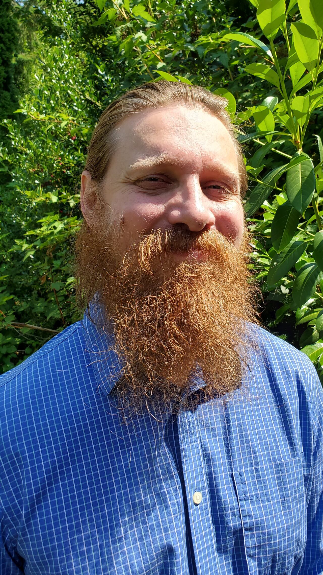 Cannabis NB looks to new strategy as sales fall and illicit market ...